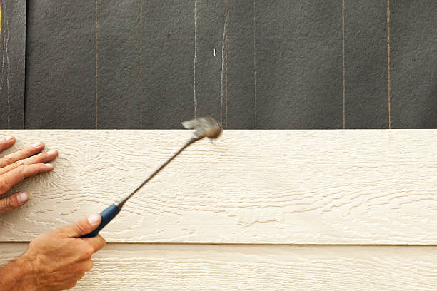 Best Custom Siding Design  in Ely, NV