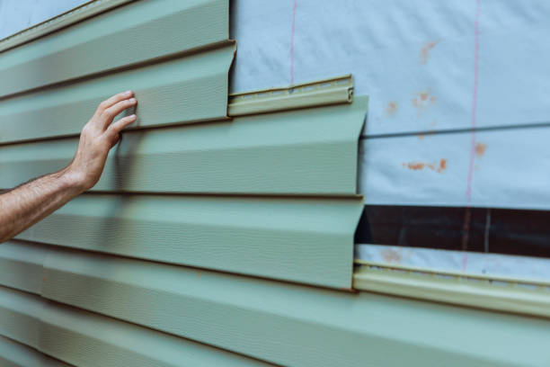 Best Siding Maintenance  in Ely, NV